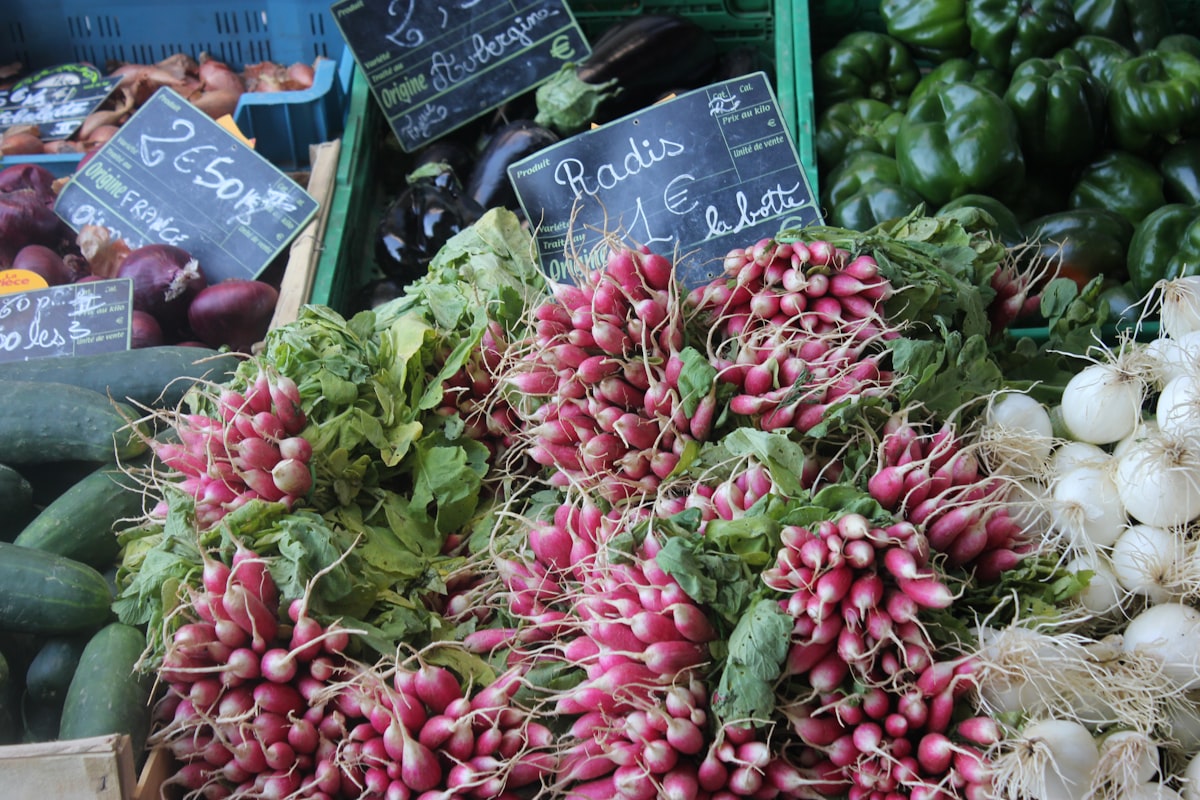 Vitamine und Mineralstoffe in der Ernährung